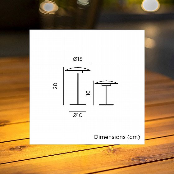 ����� ����� SARDINIA 30 - ����