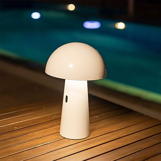 ����� ����� SHITAKE - ����