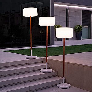��� �����  CHLOE PLANT A