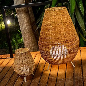 ��� ����� ����� SAONA 70