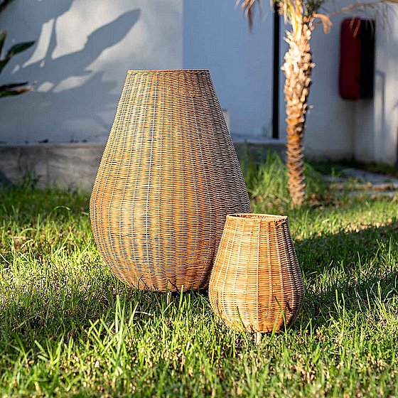 ��� ����� ����� SAONA 70