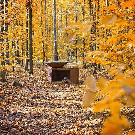 ���� ����� ������ �� - ART G3 CORTEN 