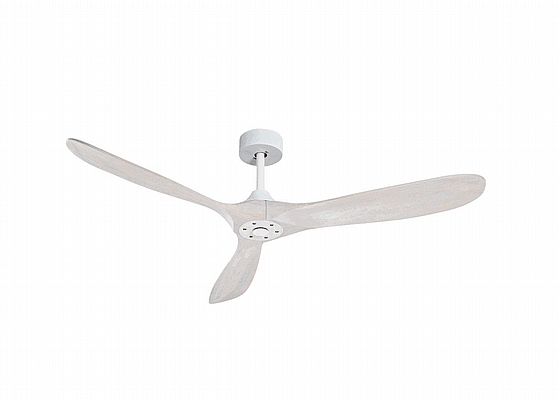 ������ ���� ����� APOLO White