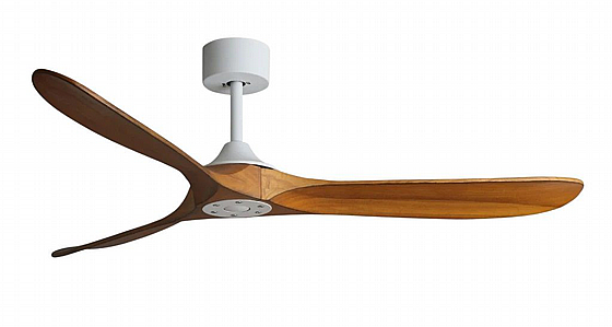 ������ ���� ����� APOLO Teak
