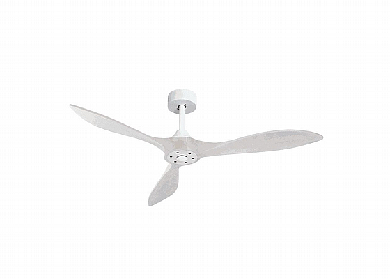 ������ ���� ����� Aloha White