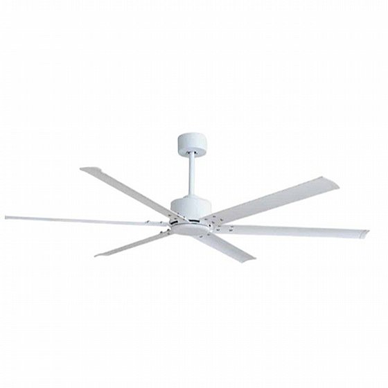 ������ ���� ����� DOME White