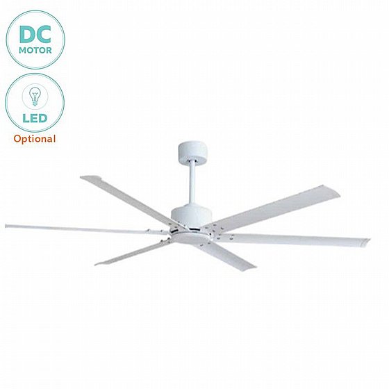 ������ ���� ����� DOME White