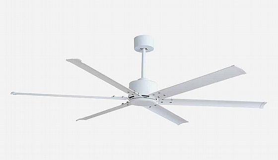 ������ ���� ����� DOME White