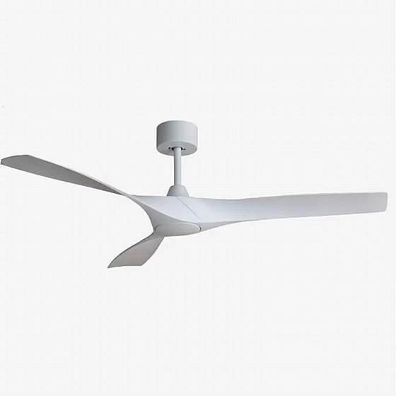 ������ ���� ����� SHINOOK White PLUS
