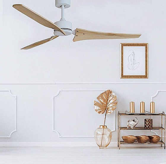 ������ ���� ����� SHARP White