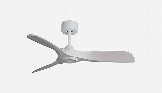 ������ ���� ����� SHIROKO White