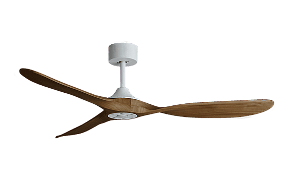 ������ ���� ����� PAPAGAYO WALNUT