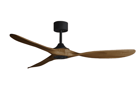 ������ ���� ����� PAPAGAYO WALNUT