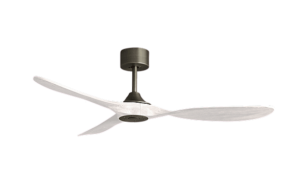 ������ ���� ����� PAPAGAYO WHITE