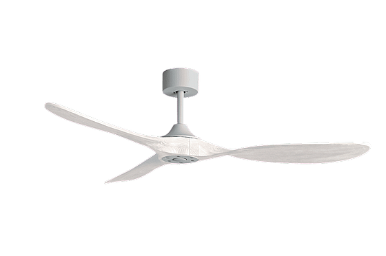 ������ ���� ����� PAPAGAYO WHITE