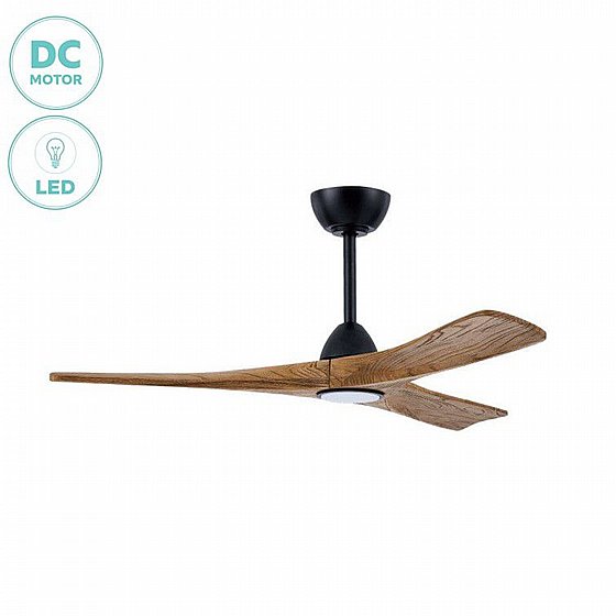 ������ ���� ����� SELESTE C WALNUT ���� ����� ������