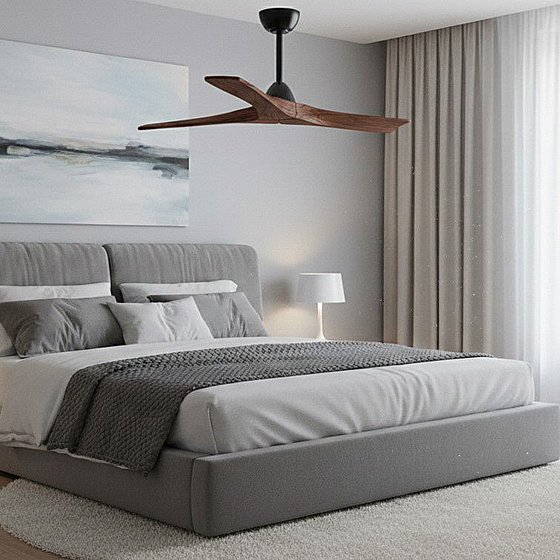 ������ ���� ����� SELESTE C WALNUT