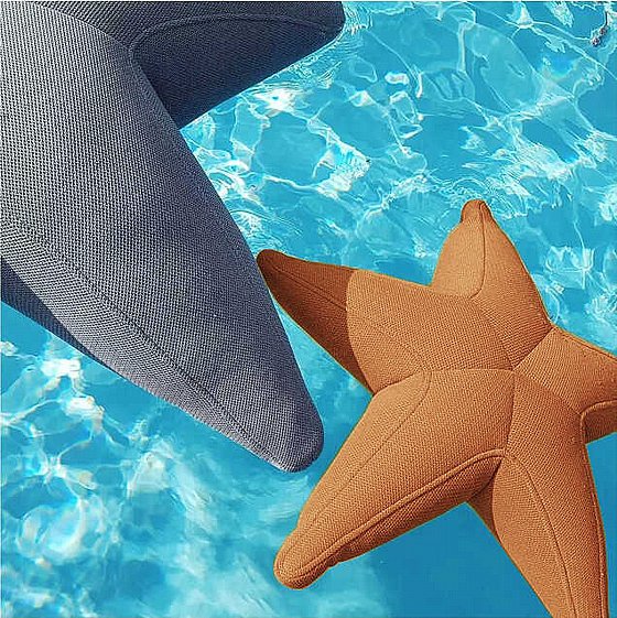 ��� �� ���� �� ���� Starfish S
