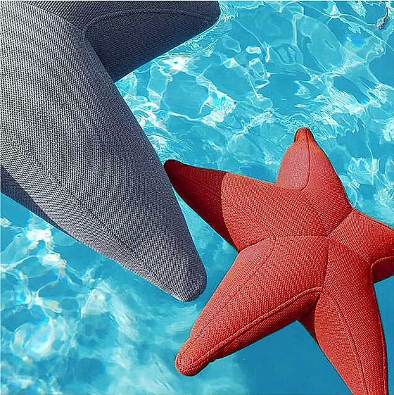 ��� �� ���� �� ���� Starfish S