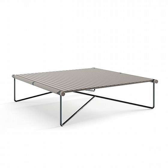 ����� ������ ���� NOA Collection