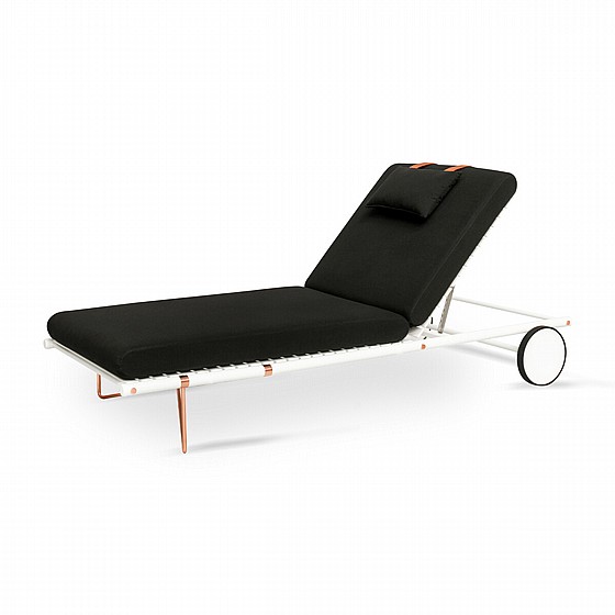 ���� ����� NOA Collection