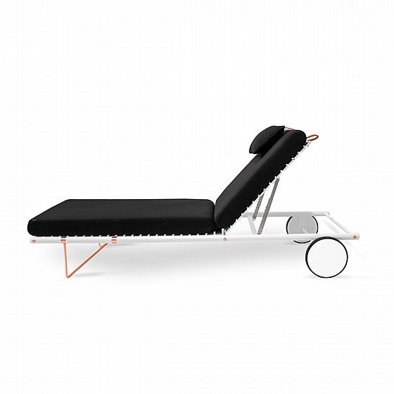 ���� ����� NOA Collection