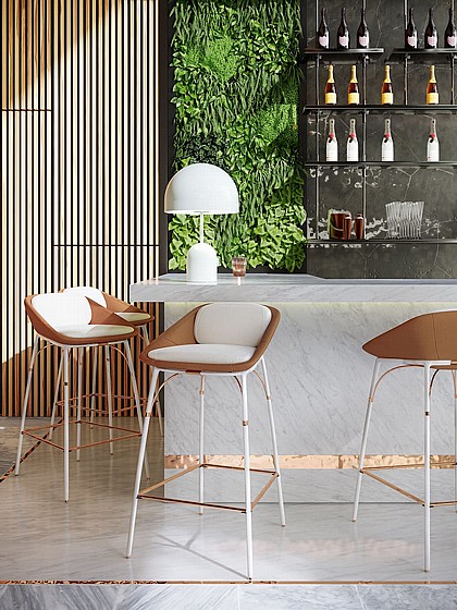 ���� �� NERO Collection 