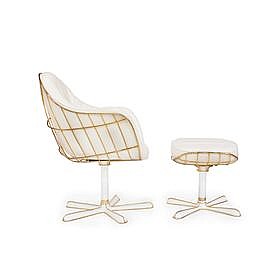 ���� ������ NODO Collection