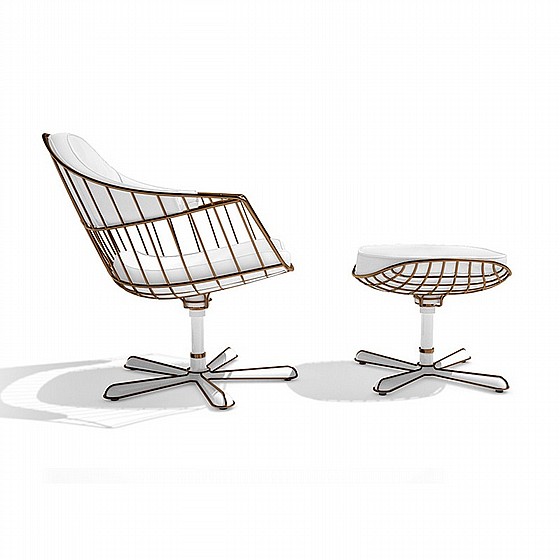 ���� ������ NODO Collection