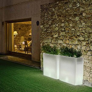 �� ���� JUNCO 80