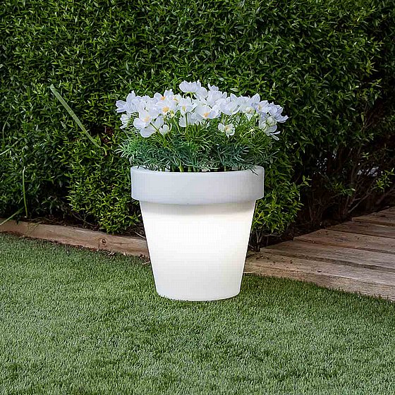 �� ���� MAGNOLIA 45