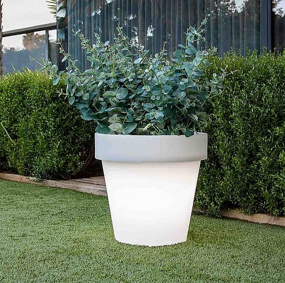 �� ���� MAGNOLIA 60