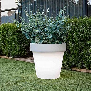 �� ���� MAGNOLIA 60