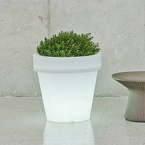 כד מואר MAGNOLIA 80 כד מואר MAGNOLIA 80