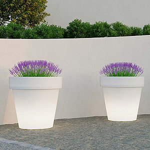 �� ���� MAGNOLIA 120