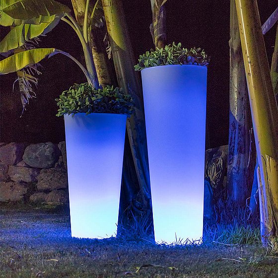 �� ���� FICUS 60