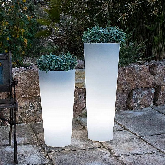�� ���� FICUS 60