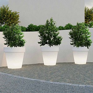 �� ���� MAGNOLIA 160