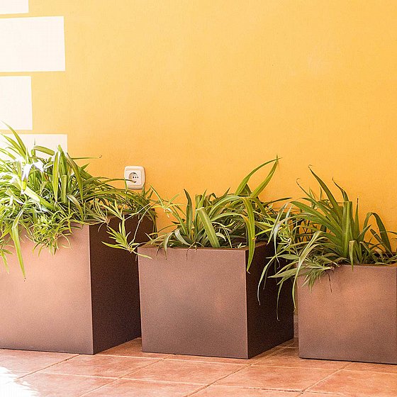 �� NARCISO 40X40X36 - ����� �����