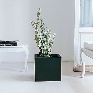 כד NARCISO 40X40X36 - במבחר צבעים כד NARCISO 40X40X36 - במבחר צבעים