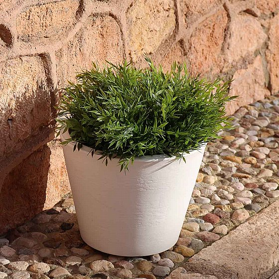 �� FICUS 60 - ����� �����