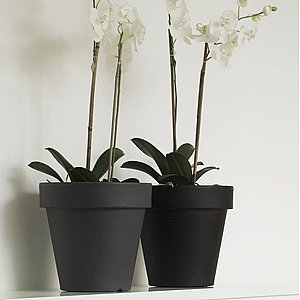 כד MAGNOLIA 30 - במבחר צבעים כד MAGNOLIA 30 - במבחר צבעים