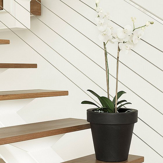 �� MAGNOLIA 30 - ����� �����
