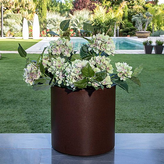 �� ���� HORTENSIA 50 - ����� �����