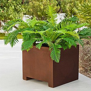 �� NARCISO 60 - ����� �����