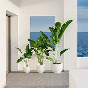 כד MAGNOLIA 45 - במבחר צבעים כד MAGNOLIA 45 - במבחר צבעים